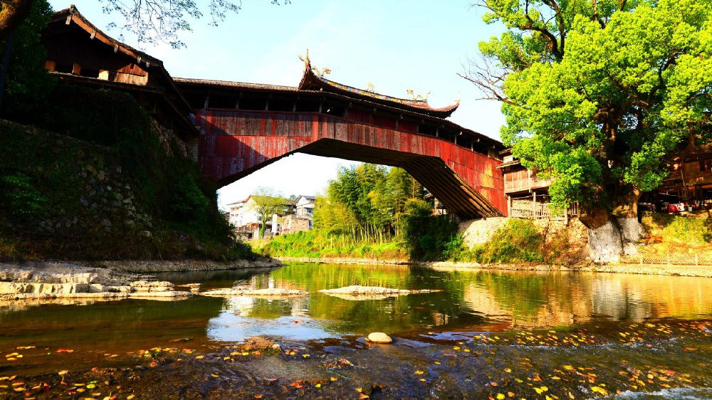 去泰顺寻梦，看中国最美的廊桥