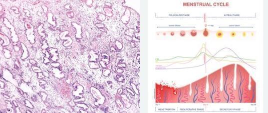 药物流产最佳时间什么时候（药物流产最佳时间什么时候多少钱）