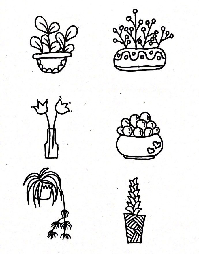 盆栽植物花盆简笔画,手抄报,手账都可以用!