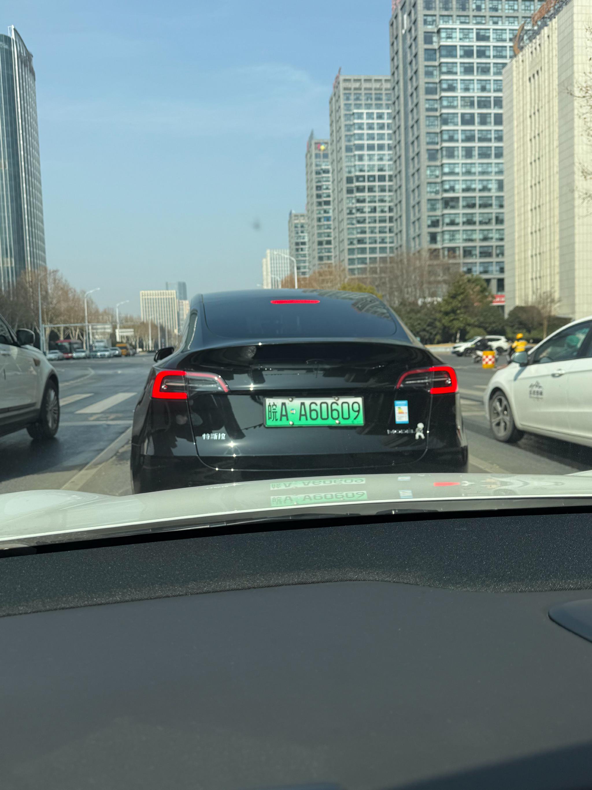 一只坤，一个能效标，挺会玩的 不过你这了5级能效太黑特斯拉了