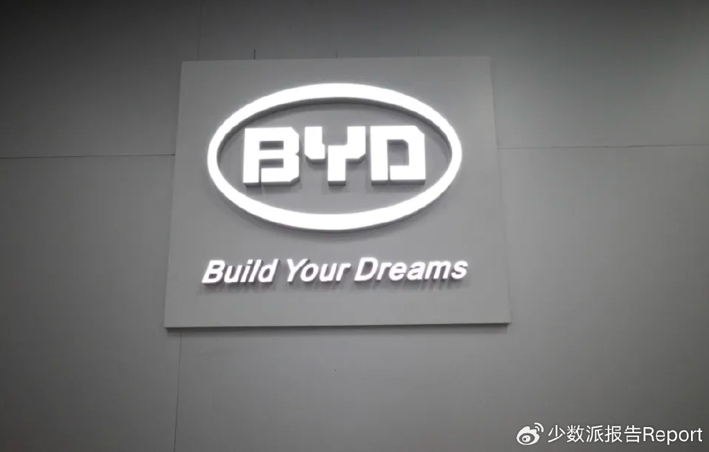 别再骂比亚迪的375kg载重量了！