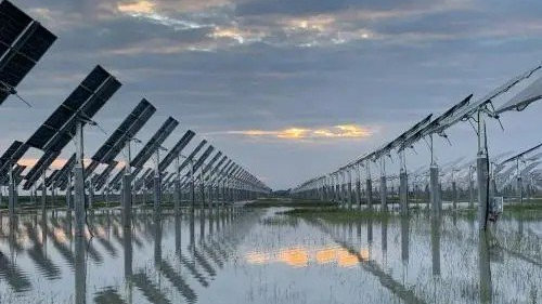 在热度背后，冷静看待新旧能源转型