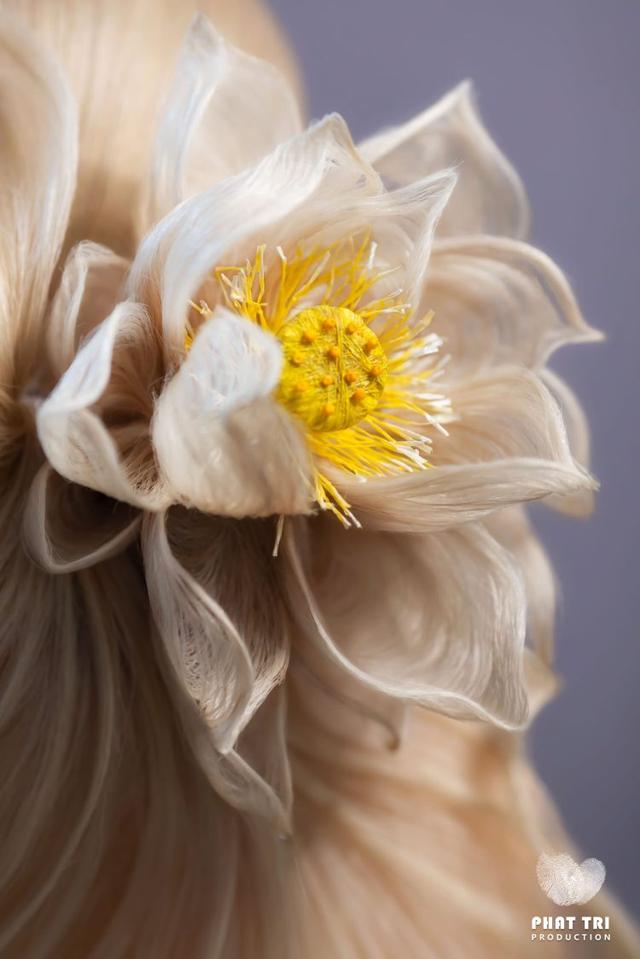 太吸睛！越南造型师把头发做成盛放的花朵形状