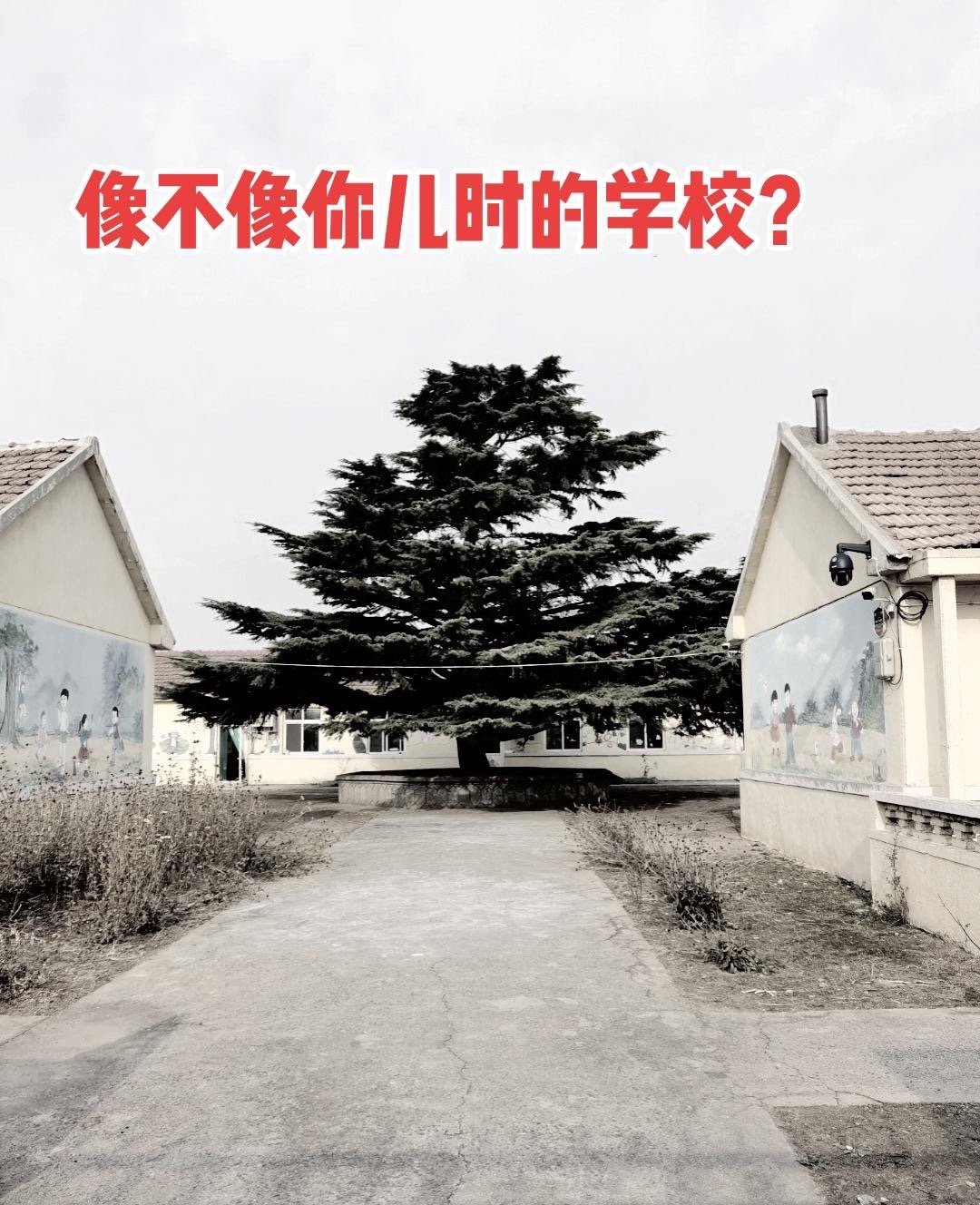 八零后的回忆 ,小时候学校的样子,一张张照片,唤起70后,80后童年的
