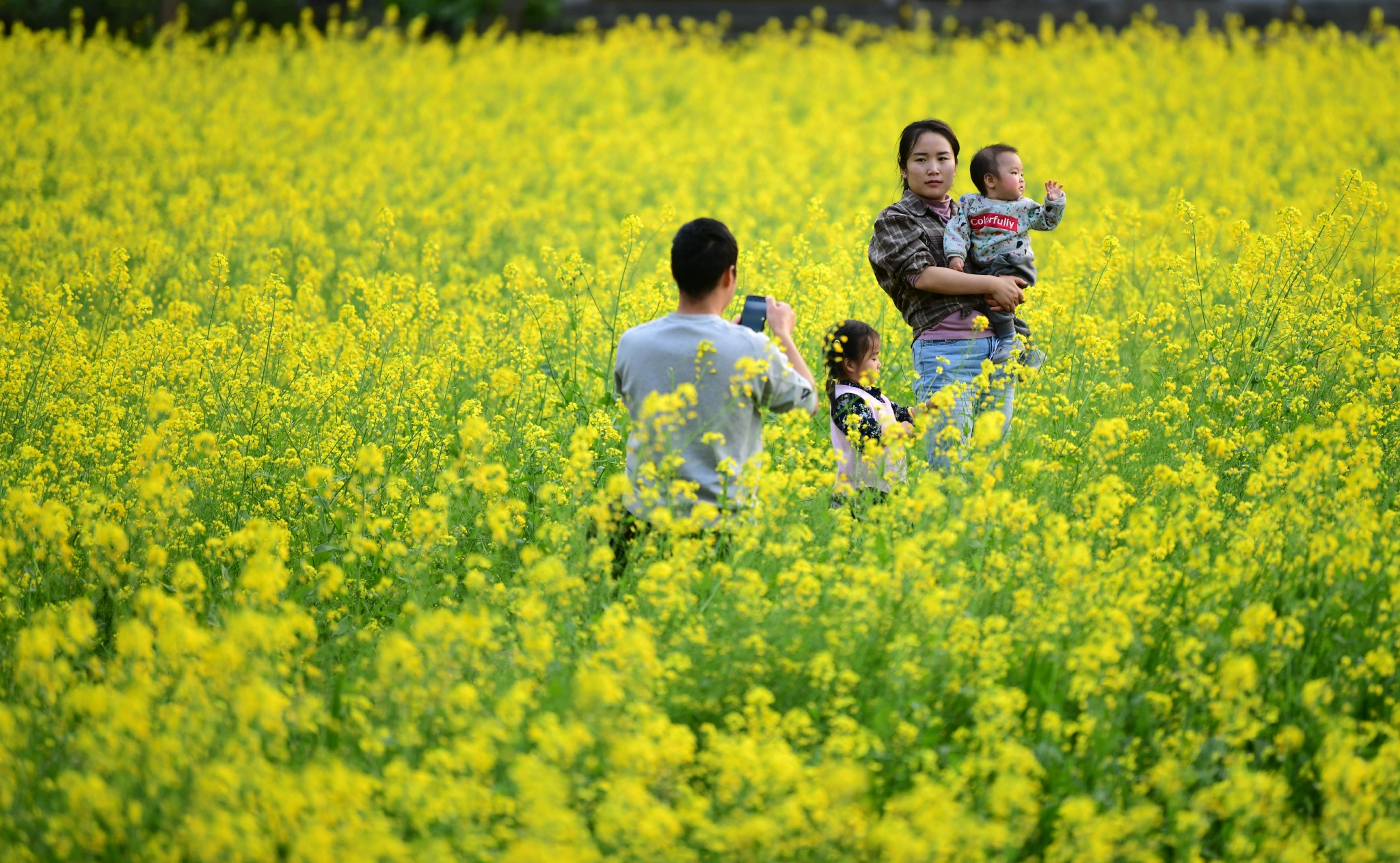 贵州兴义万峰林:春来花好正当游|万峰林|兴义|油菜花_新浪新闻
