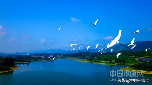 广东省佛山市三水区南山镇入选“2021年度中国乡村振兴十大示范村镇”休闲区蓝鸢梦想 - Www.slyday.coM 广东省佛山市三水区南山镇入选“2021年度中国乡村振兴十大示范村镇”休闲区蓝鸢梦想 - Www.slyday.coM