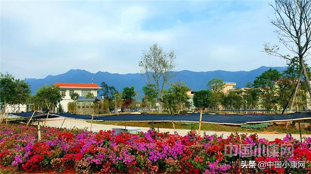 广东省佛山市三水区南山镇入选“2021年度中国乡村振兴十大示范村镇”休闲区蓝鸢梦想 - Www.slyday.coM 广东省佛山市三水区南山镇入选“2021年度中国乡村振兴十大示范村镇”休闲区蓝鸢梦想 - Www.slyday.coM