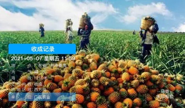 537c-1b62dfc1dc3d5ec674ccdb2a156bc3fc.jpg