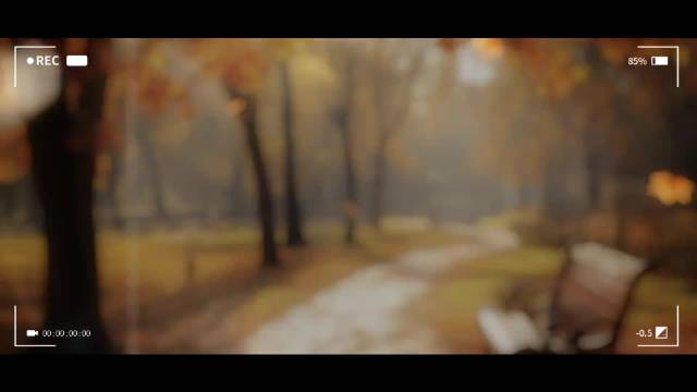 “我只是个爱你的笨蛋”