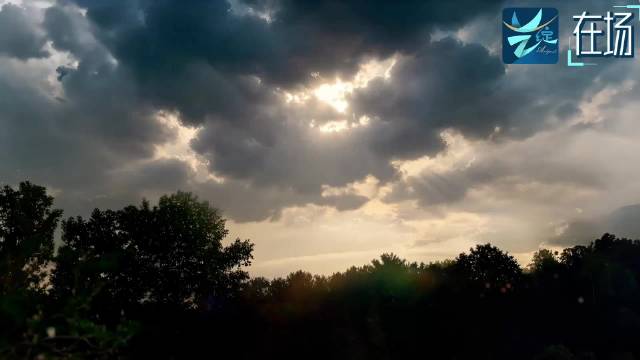 艺绽 | 张学友发新歌安慰香港受灾市民，愿永远“阳光普照”