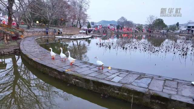 安徽黄山：乡村迎冬雪