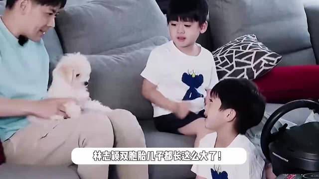 林志颖老婆罕晒双胞胎儿子近照，9岁孩子身高猛长，像爸爸的缩小版