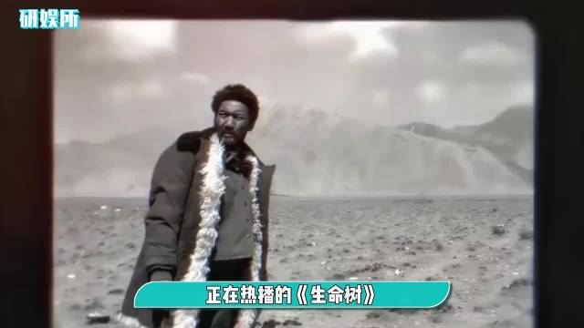 《生命树》:‌20年巡山队生死簿,胡歌杨紫演绎的3重精神图腾
