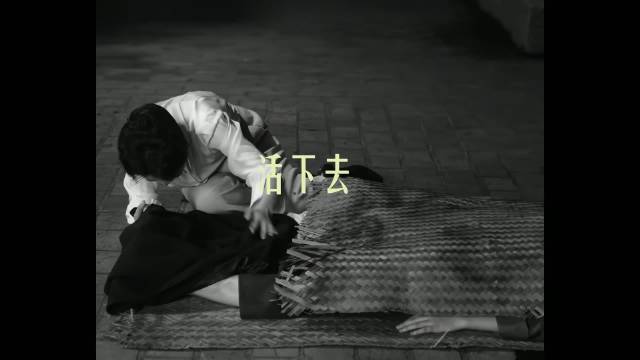 玉兰花开落笔暂别，待到盛放盼君归期