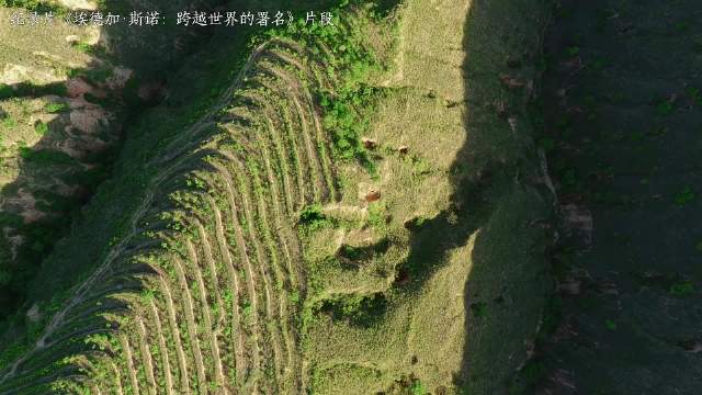 一声“同志”，斯诺的苏区之旅从此开始