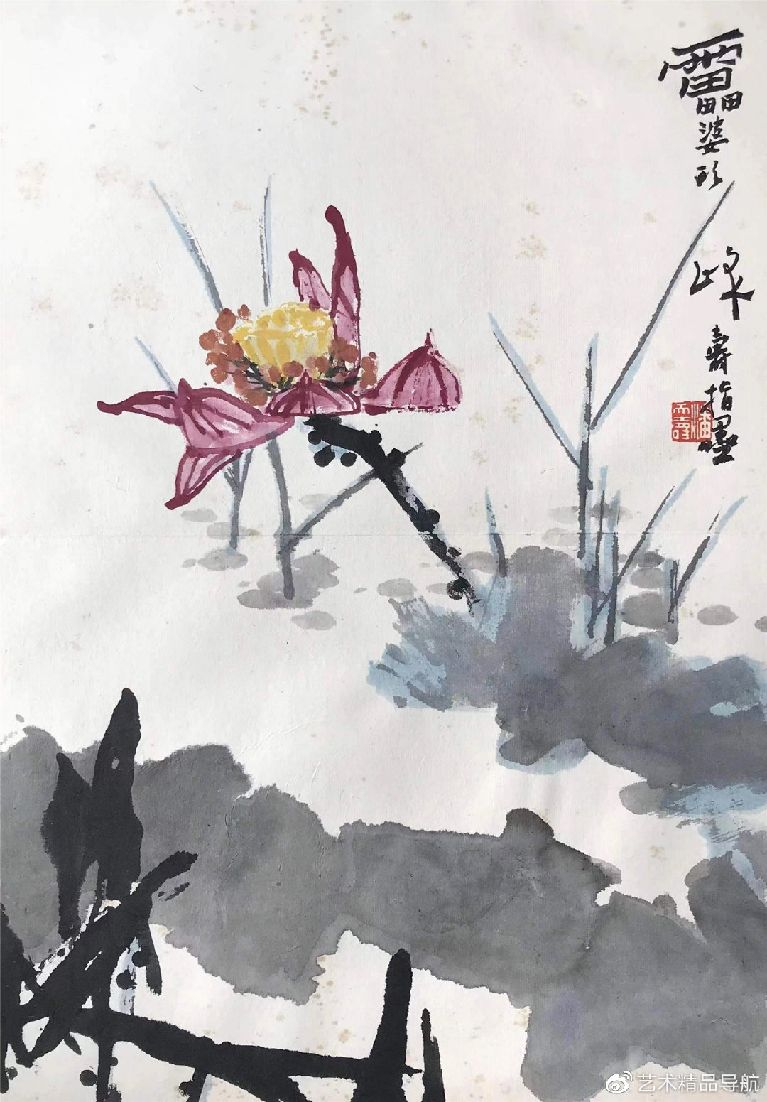 潘天寿作品欣赏潘天寿清品苍古_新浪新闻