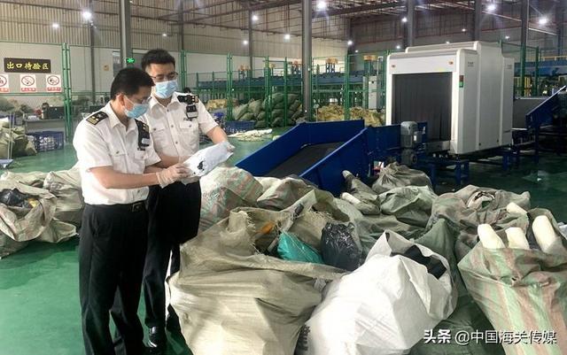 全国空降活动全攻略：新手必看指南全解析