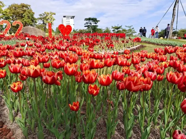 大年初六,深圳人一定要做的事,是这件休闲区蓝鸢梦想 - Www.slyday.coM 大年初六,深圳人一定要做的事,是这件休闲区蓝鸢梦想 - Www.slyday.coM