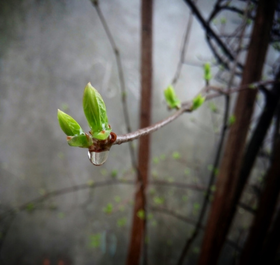 【春天里的宝鸡】野河山:春雨增春色,美景入画来休闲区蓝鸢梦想 - Www.slyday.coM 【春天里的宝鸡】野河山:春雨增春色,美景入画来休闲区蓝鸢梦想 - Www.slyday.coM
