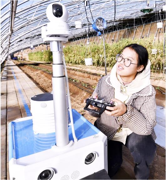 机械装备让现代农业更有“劲”