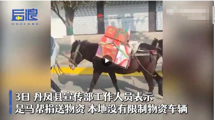 陕西丹凤回应限行后马匹运送抗疫物资:不属实休闲区蓝鸢梦想 - Www.slyday.coM 陕西丹凤回应限行后马匹运送抗疫物资:不属实休闲区蓝鸢梦想 - Www.slyday.coM