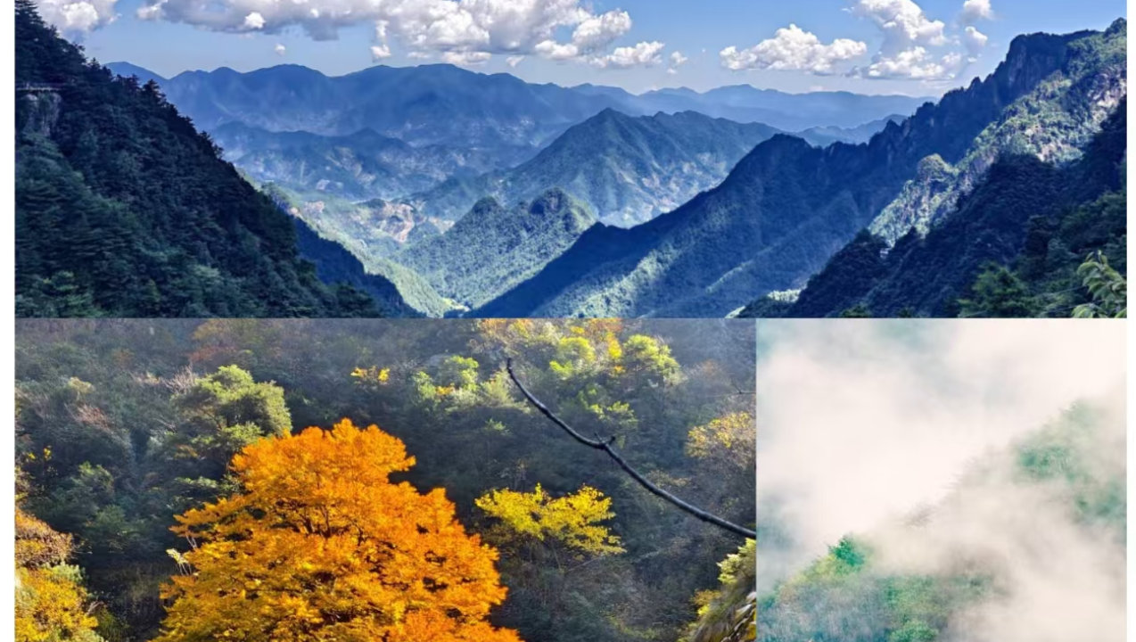 10-11月亲子赏秋新路线｜不用扎堆网红地，山林湖景轻松遛娃