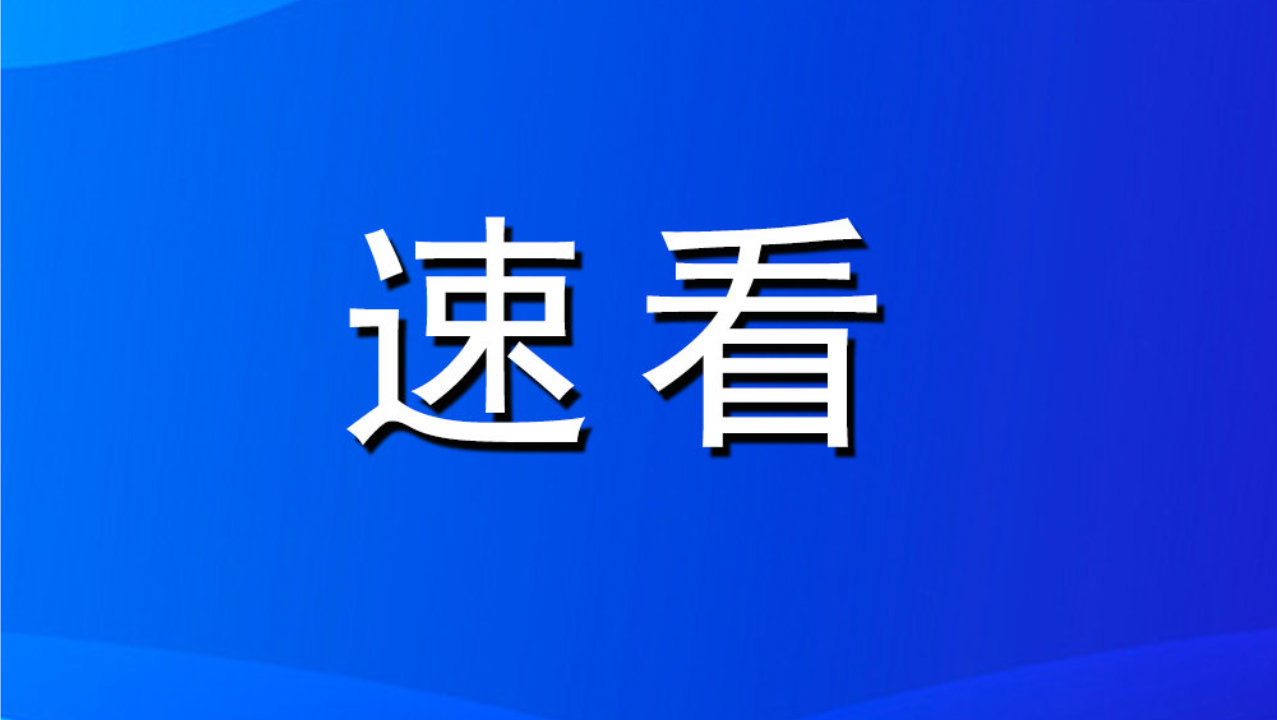2026合肥艺术涂料综合品牌推荐？实地评测后的排名答案