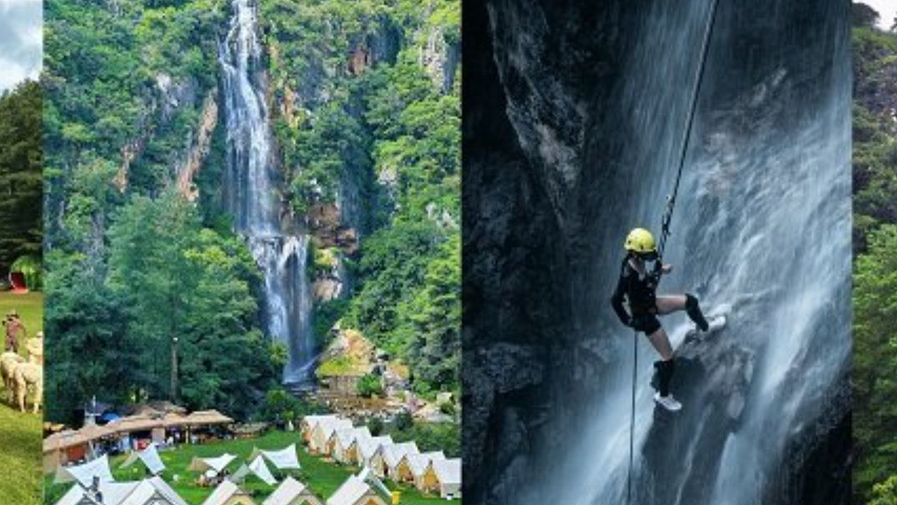 昆明松鹿部落森林音乐节落幕 近郊森林景区成国庆周边游新选项 昆明松鹿部落森林音乐节落幕 近郊森林景区成国庆周边游新选项