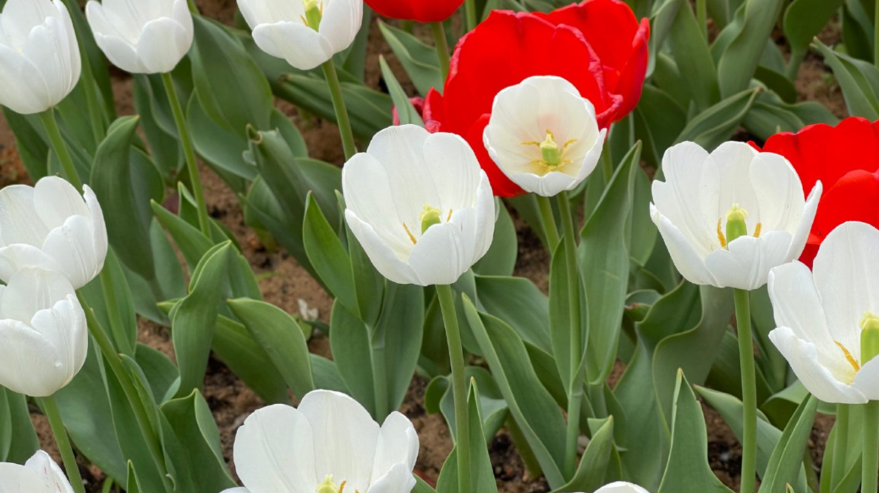 引进福田国资后，粤港湾控股配发募资 1.2 亿加码 AI 算力布局