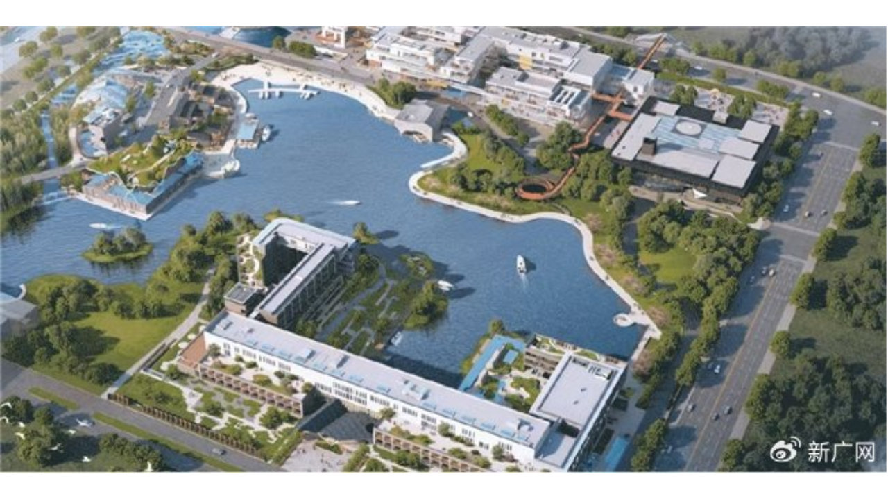 龙马郎公司开张运营 郎酒“第二增长曲线”龙马奔腾