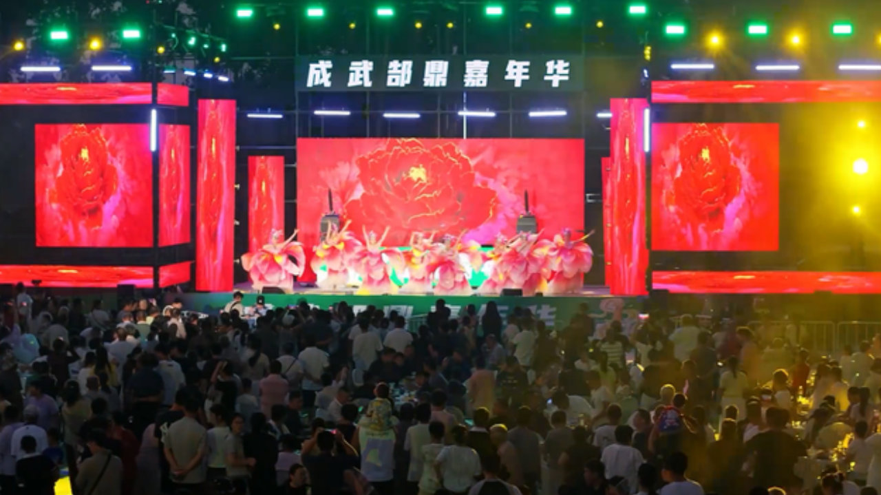 深耕乡村微度假 激活文旅新活力—成武县打造群众家门口的休闲嘉年华