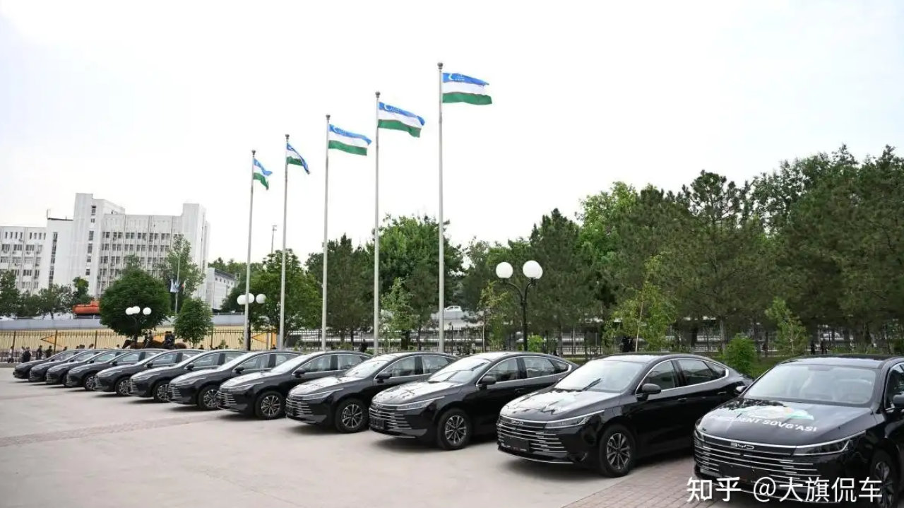 公务车电动化提速，比亚迪以全品类矩阵切入全球政务市场
