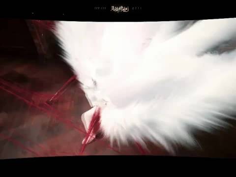 危险的美貌就这样迷人又致命