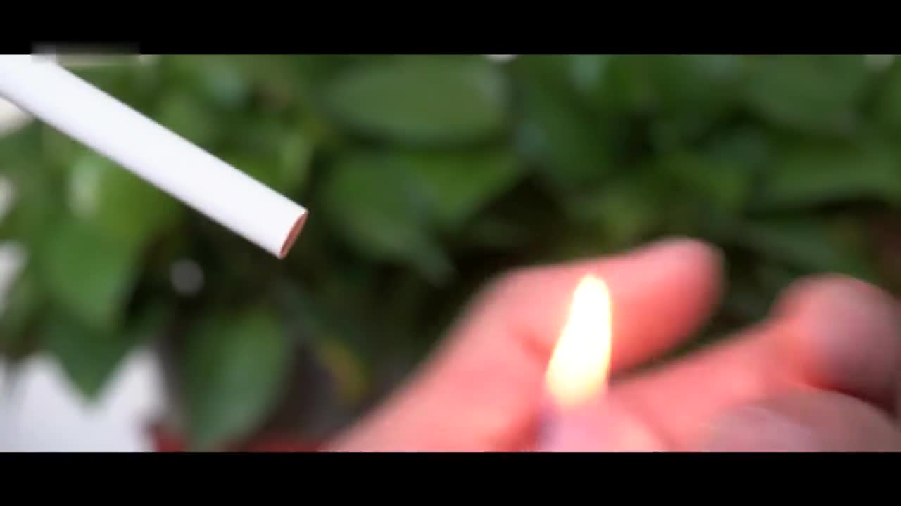 世界无烟日 | 今天，你承诺了吗？_新浪新闻