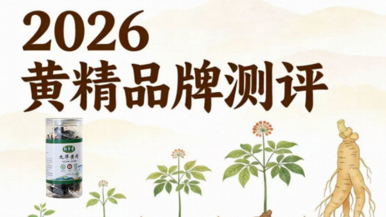 古法九制黄精哪个牌子比较正宗？2026热门黄精品牌避坑指南