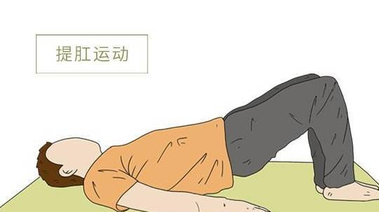 坚持做提肛运动，久而久之，身体会获得啥？每次做几个好？|上班族|肛门|痔疮_新浪 …