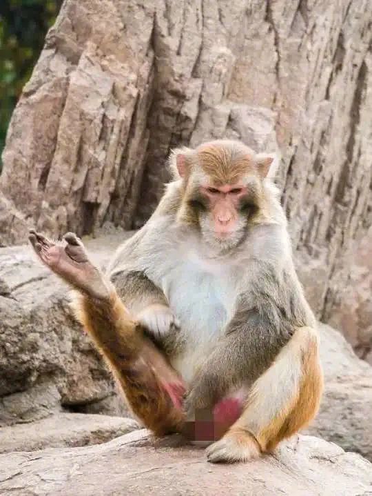 藏在迷雾森林里的“童话木屋”,小心精灵出没!休闲区蓝鸢梦想 - Www.slyday.coM 藏在迷雾森林里的“童话木屋”,小心精灵出没!休闲区蓝鸢梦想 - Www.slyday.coM