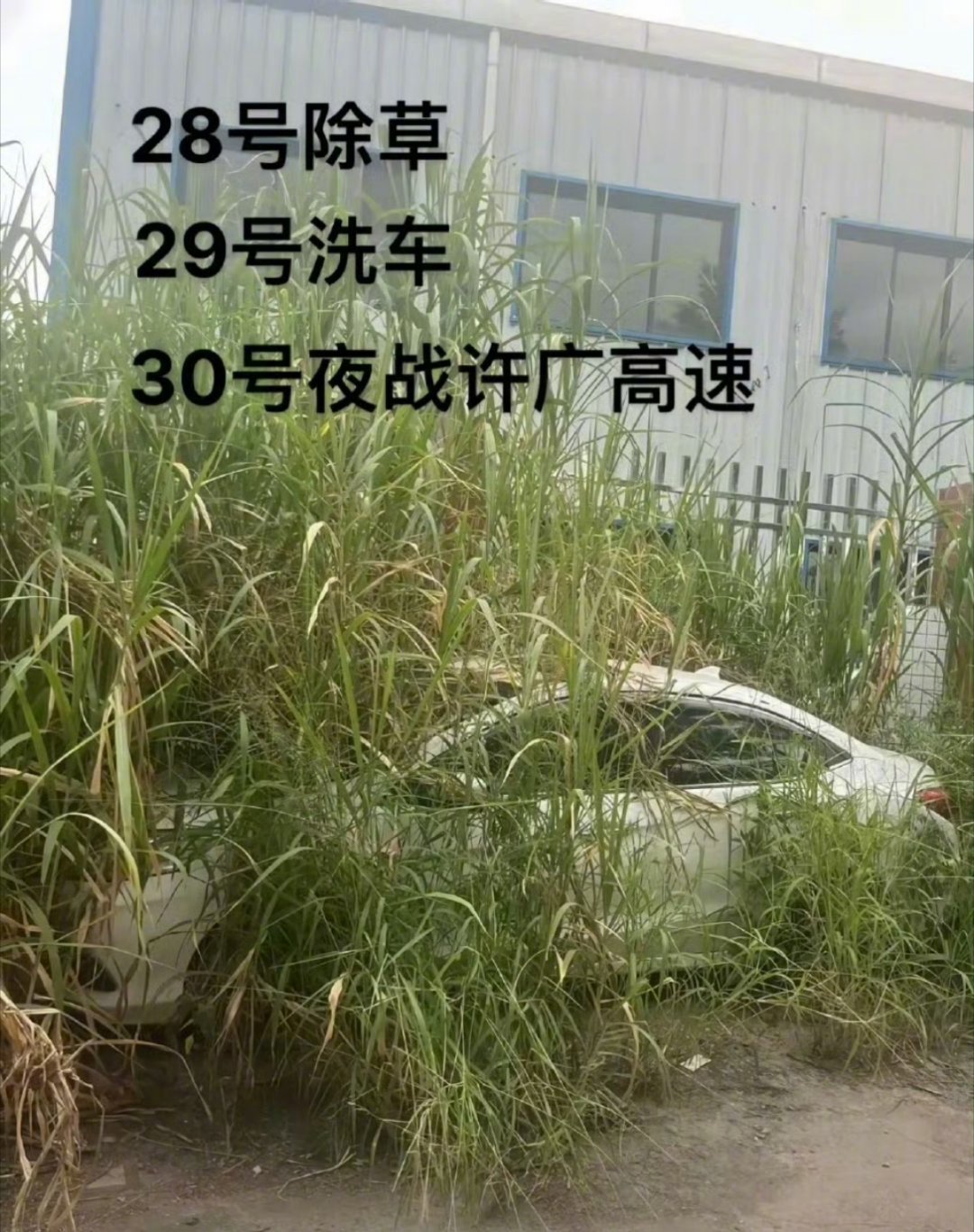 国庆高速免费临近，一年两箱油车主集体出动