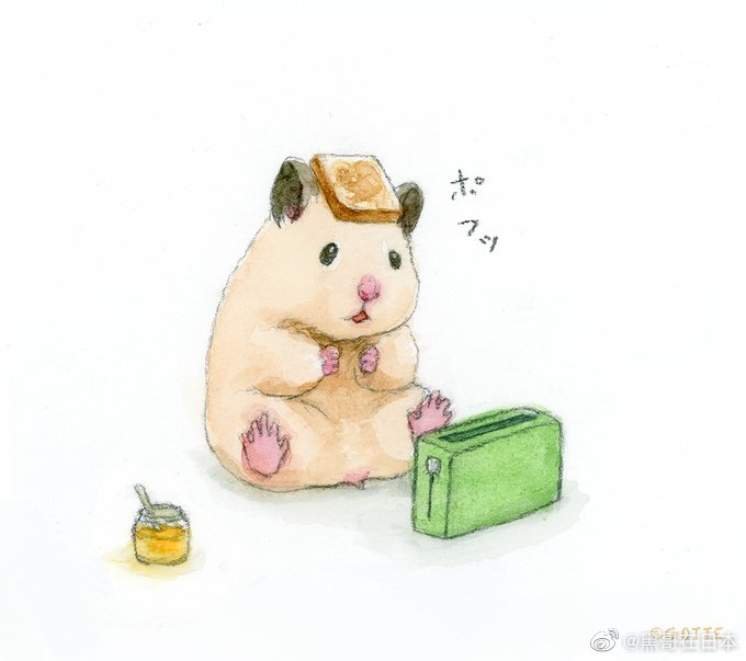 日本网红仓鼠助六的日常twiaphamham