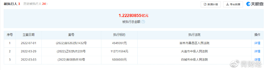 历史被执行人不良记录（历史被执行人不良记录查询） 第3张