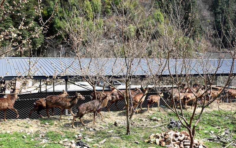 十堰怎么在一个城市找服务