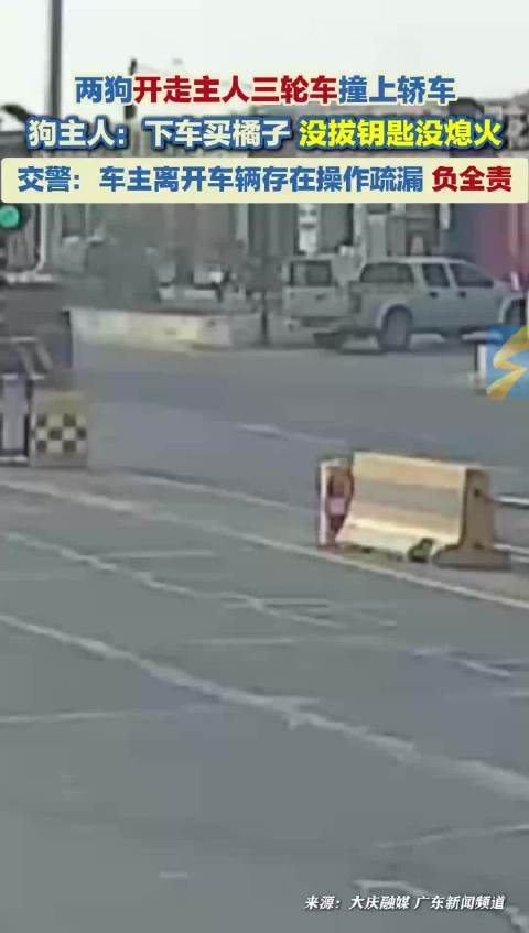 两狗开走主人三轮车撞上轿车 狗主人：下车买橘子 没拔钥匙没熄火 交警：车主负全责