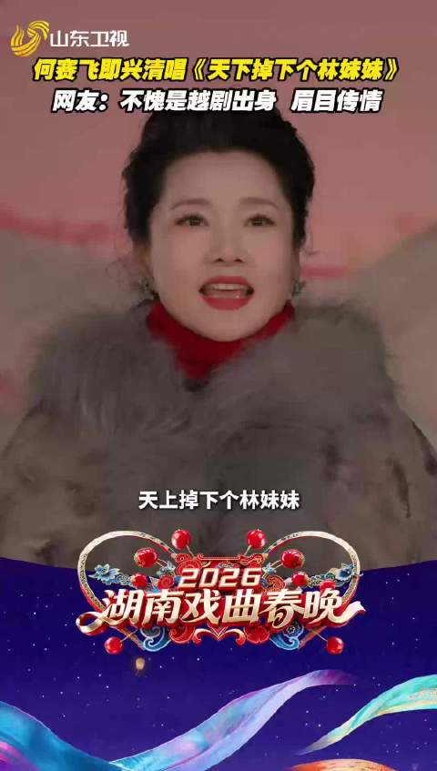 何赛飞即兴清唱《天下掉下个林妹妹》选段