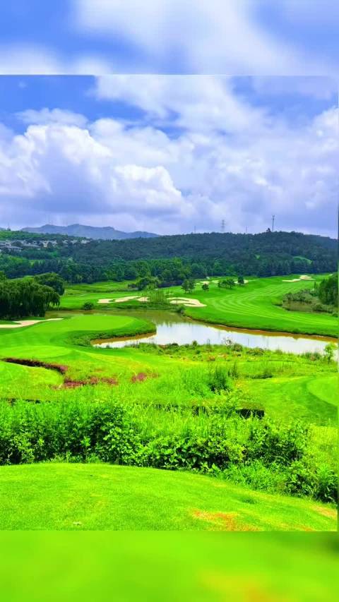 享受生活！王仕鹏晒视频与朋友打高尔夫：最佳损友