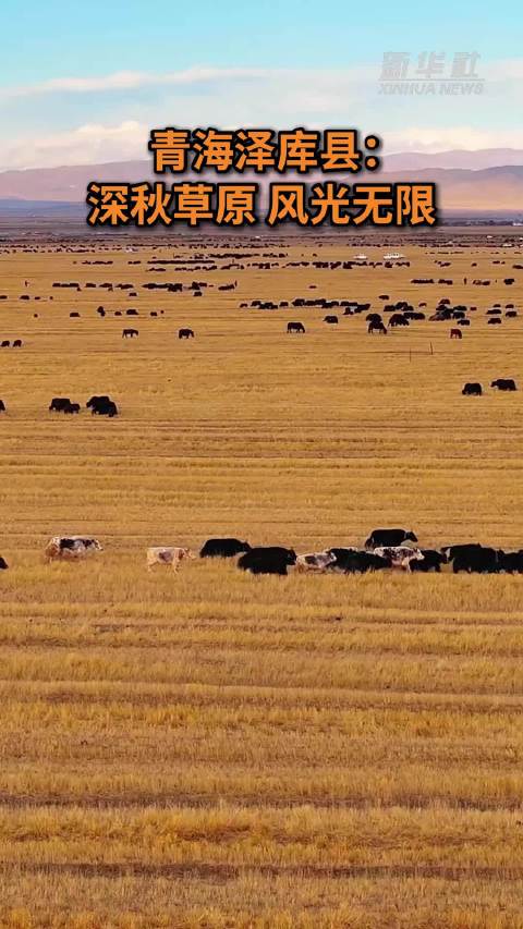 青海泽库县：深秋草原 风光无限