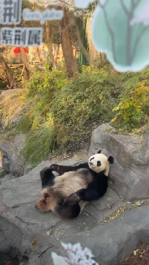 天赋异禀九九 来源：上单渃水