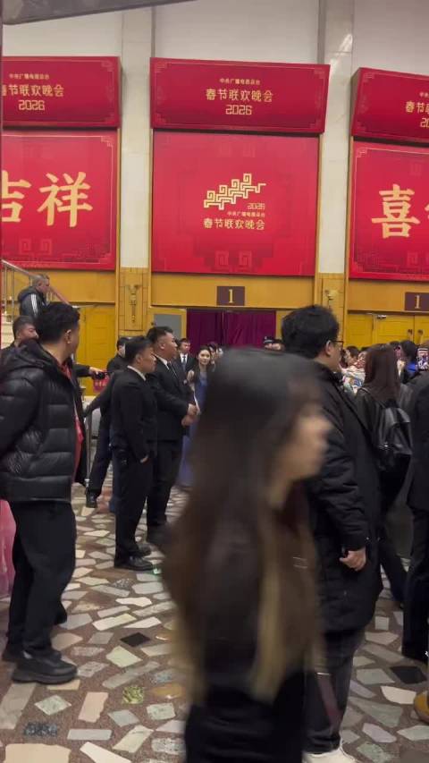 刘浩存晚会出场，存子真的很美！