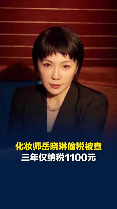 知名化妆师岳晓琳偷税被查，三年仅纳税1100元