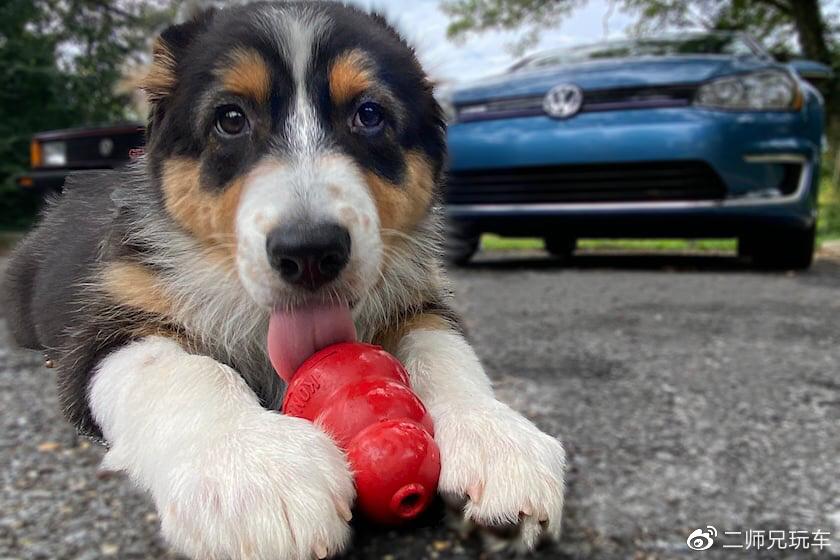 你真的了解德系大众吗?我敢说,这7个事实,肯定有你不知道的休闲区蓝鸢梦想 - Www.slyday.coM 你真的了解德系大众吗?我敢说,这7个事实,肯定有你不知道的休闲区蓝鸢梦想 - Www.slyday.coM
