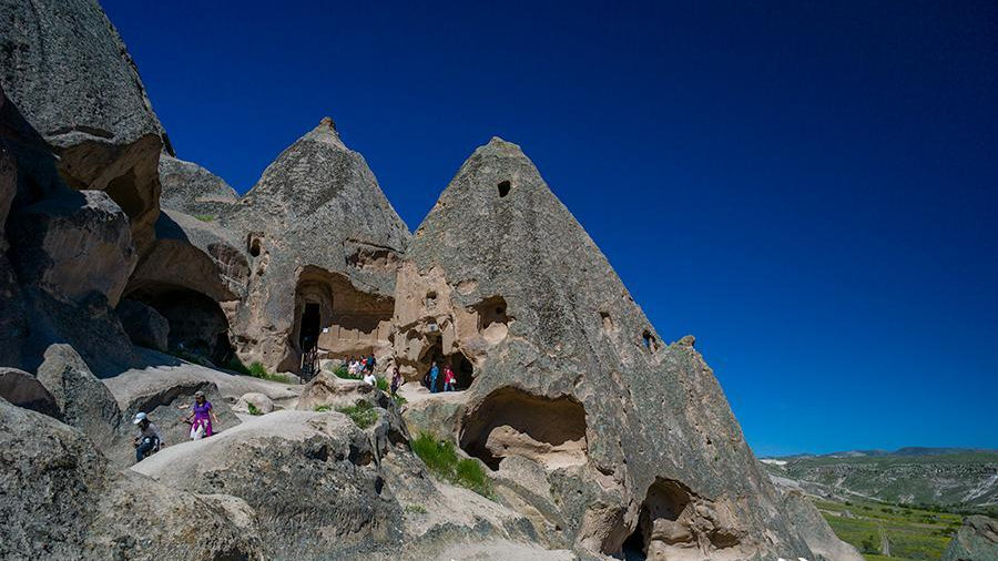 丹齐格对抗塞利纳：什么是文学阅读与国家欺诈？...